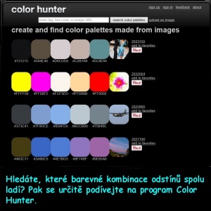 Color hunter a.jpg